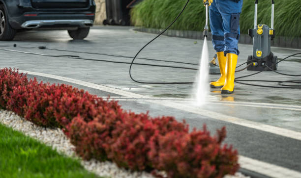 Best Local Pressure Washing Services  in Madison, NE